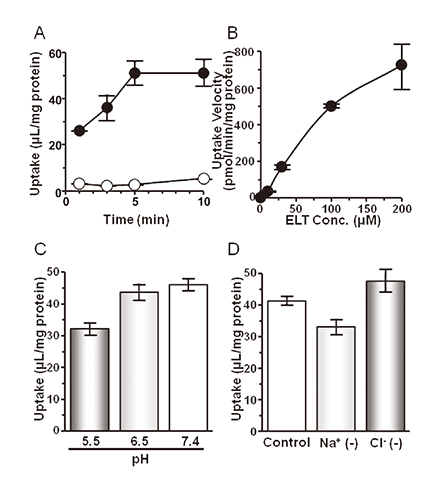 体外药物摄取试验