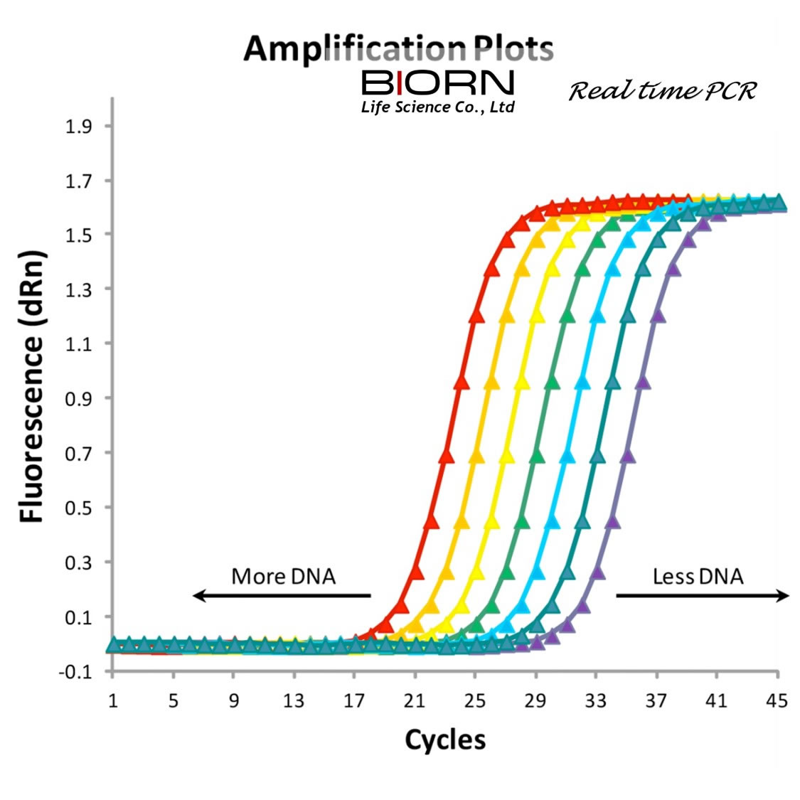 PCR
