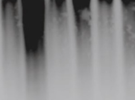 标签蛋白 Pull-down 实验服务