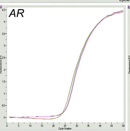 DNA pull-down 实验服务